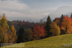 Viennaslide-04431312 Bad Goisern, Herbst