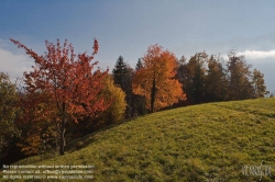 Viennaslide-04431313 Bad Goisern, Herbst