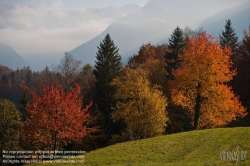 Viennaslide-04431314 Bad Goisern, Herbst