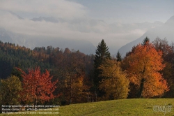 Viennaslide-04431315 Bad Goisern, Herbst