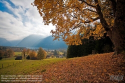 Viennaslide-04431318 Bad Goisern, Herbst