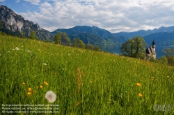 Viennaslide-04433002 Attersee, Attergau, Salzkammergut