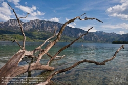 Viennaslide-04433007 Attersee, Attergau, Salzkammergut