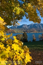 Viennaslide-04433021 Attersee, Attergau, Salzkammergut