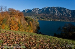 Viennaslide-04433024 Attersee, Attergau, Salzkammergut