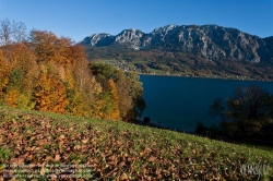 Viennaslide-04433024 Attersee, Attergau, Salzkammergut