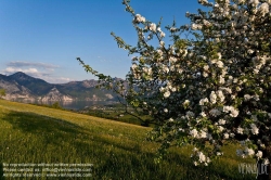 Viennaslide-04434004 Österreich, Traunsee