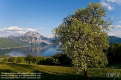 Viennaslide-04434009 Österreich, Traunsee