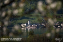 Viennaslide-04435001 Wolfgangssee