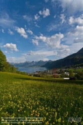 Viennaslide-04435201 Salzkammergut, St.Gilgen am Wolfgangssee