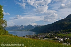 Viennaslide-04435202 Salzkammergut, St.Gilgen am Wolfgangssee