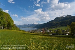 Viennaslide-04435203 Salzkammergut, St.Gilgen am Wolfgangssee