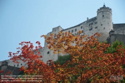 Viennaslide-04510003 Salzburg, Festung Hohensalzburg im Herbst - Salzburg, Hohensalzburg, Autumn