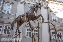 Viennaslide-04510018 Salzburg, Alte Residenz, der goldene Bukephalos von Andje Pietrzyk