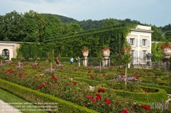 Viennaslide-04512102 Salzburg, Mirabellgarten, Rosengarten - Salzburg, Mirabell Garden, Rose Garden