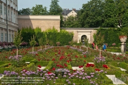 Viennaslide-04512104 Salzburg, Mirabellgarten, Rosengarten - Salzburg, Mirabell Garden, Rose Garden