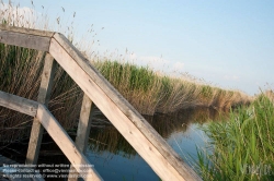 Viennaslide-04731233 Burgenland, Rust am Neusiedlersee