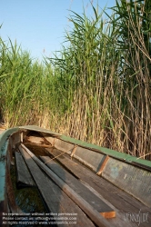 Viennaslide-04731240 Burgenland, Rust am Neusiedlersee