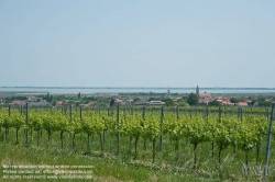 Viennaslide-04731260 Burgenland, Rust am Neusiedlersee