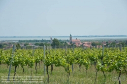 Viennaslide-04731261 Burgenland, Rust am Neusiedlersee