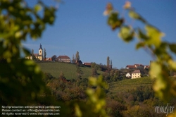 Viennaslide-04828352 Südsteirische Weinstraße, Steiermark, Österreich - Austria, Styria, Wineyards