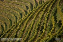 Viennaslide-04828357 Südsteirische Weinstraße, Steiermark, Österreich - Austria, Styria, Wineyards