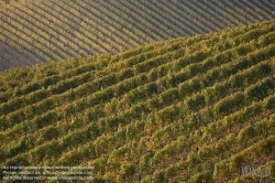 Viennaslide-04828360 Südsteirische Weinstraße, Steiermark, Österreich - Austria, Styria, Wineyards