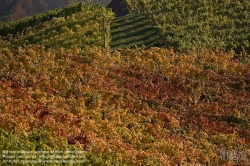 Viennaslide-04828362 Südsteirische Weinstraße, Steiermark, Österreich - Austria, Styria, Wineyards