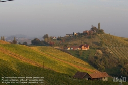 Viennaslide-04828364 Südsteirische Weinstraße, Steiermark, Österreich - Austria, Styria, Wineyards