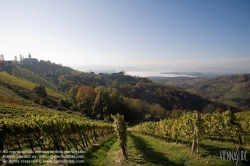 Viennaslide-04828369 Südsteirische Weinstraße, Steiermark, Österreich - Austria, Styria, Wineyards