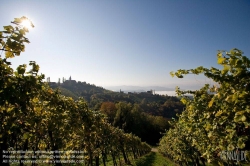 Viennaslide-04828370 Südsteirische Weinstraße, Steiermark, Österreich - Austria, Styria, Wineyards