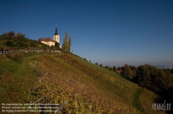 Viennaslide-04828372 Südsteirische Weinstraße, Steiermark, Österreich - Austria, Styria, Wineyards