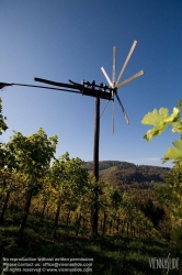 Viennaslide-04828375 Südsteirische Weinstraße, Steiermark, Österreich - Austria, Styria, Wineyards