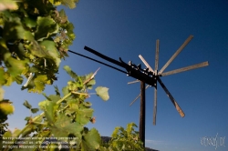 Viennaslide-04828376 Südsteirische Weinstraße, Steiermark, Österreich - Austria, Styria, Wineyards