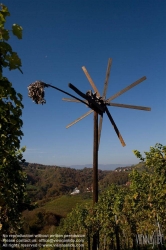 Viennaslide-04828378 Südsteirische Weinstraße, Steiermark, Österreich - Austria, Styria, Wineyards