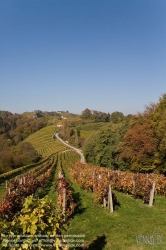 Viennaslide-04828379 Südsteirische Weinstraße, Steiermark, Österreich - Austria, Styria, Wineyards