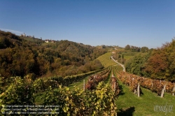 Viennaslide-04828380 Südsteirische Weinstraße, Steiermark, Österreich - Austria, Styria, Wineyards