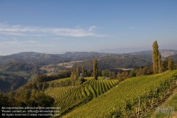 Viennaslide-04828381 Südsteirische Weinstraße, Steiermark, Österreich - Austria, Styria, Wineyards