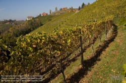 Viennaslide-04828382 Südsteirische Weinstraße, Steiermark, Österreich - Austria, Styria, Wineyards