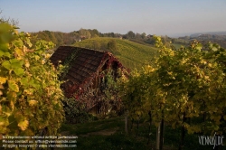 Viennaslide-04828385 Südsteirische Weinstraße, Steiermark, Österreich - Austria, Styria, Wineyards