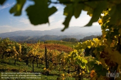 Viennaslide-04828388 Südsteirische Weinstraße, Steiermark, Österreich - Austria, Styria, Wineyards