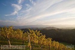 Viennaslide-04828391 Südsteirische Weinstraße, Steiermark, Österreich - Austria, Styria, Wineyards