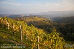 Viennaslide-04828392 Südsteirische Weinstraße, Steiermark, Österreich - Austria, Styria, Wineyards