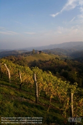 Viennaslide-04828393 Südsteirische Weinstraße, Steiermark, Österreich - Austria, Styria, Wineyards