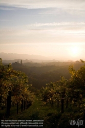 Viennaslide-04828396 Südsteirische Weinstraße, Steiermark, Österreich - Austria, Styria, Wineyards