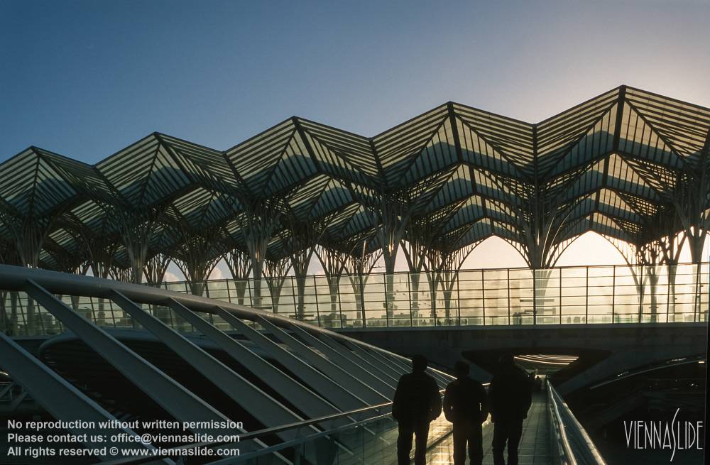 Viennaslide 05618503a jpg