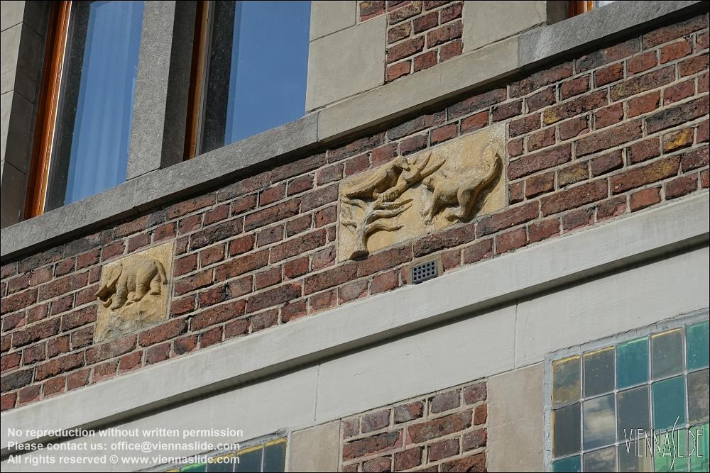 Viennaslide 05831125 jpg