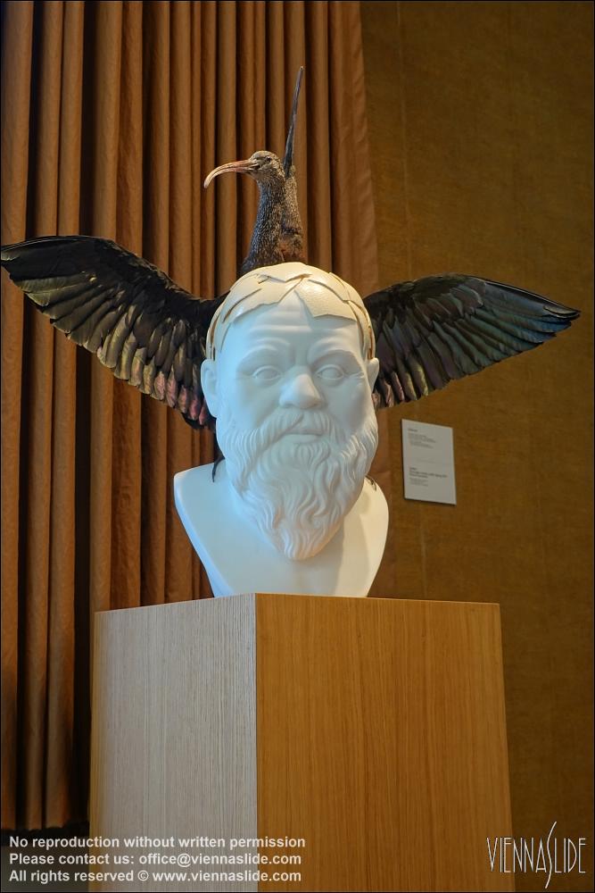 Viennaslide 05831128 jpg