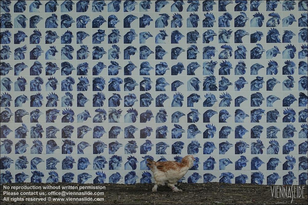 Viennaslide 05831136 jpg