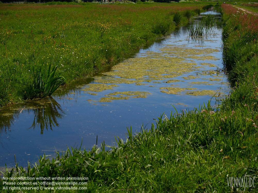 Viennaslide 05918931 jpg